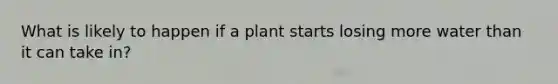 What is likely to happen if a plant starts losing more water than it can take in?