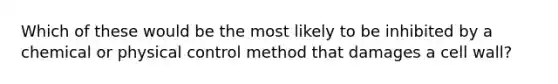 Which of these would be the most likely to be inhibited by a chemical or physical control method that damages a cell wall?