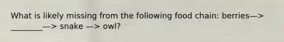 What is likely missing from the following food chain: berries—> ________—> snake —> owl?