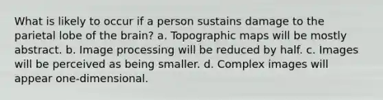 What is likely to occur if a person sustains damage to the parietal lobe of the brain? a. Topographic maps will be mostly abstract. b. Image processing will be reduced by half. c. Images will be perceived as being smaller. d. Complex images will appear one-dimensional.