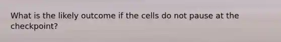 What is the likely outcome if the cells do not pause at the checkpoint?