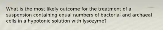 What is the most likely outcome for the treatment of a suspension containing equal numbers of bacterial and archaeal cells in a hypotonic solution with lysozyme?