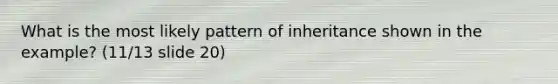 What is the most likely pattern of inheritance shown in the example? (11/13 slide 20)