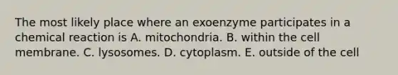 The most likely place where an exoenzyme participates in a chemical reaction is A. mitochondria. B. within the cell membrane. C. lysosomes. D. cytoplasm. E. outside of the cell