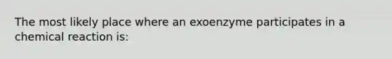 The most likely place where an exoenzyme participates in a chemical reaction is: