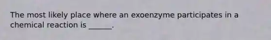 The most likely place where an exoenzyme participates in a chemical reaction is ______.