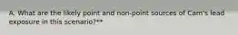 A. What are the likely point and non-point sources of Cam's lead exposure in this scenario?**