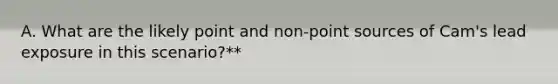 A. What are the likely point and non-point sources of Cam's lead exposure in this scenario?**