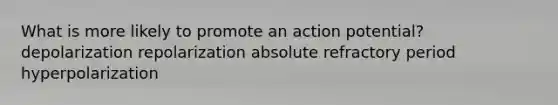 What is more likely to promote an action potential? depolarization repolarization absolute refractory period hyperpolarization