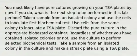 You most likely have pure cultures growing on your TSA plates by now. If you do, what is the next step to be performed in this lab periode? Take a sample from an isolated colony and use the cells to inoculate first biochemical test. Use cells from the same colony to inoculate a TSA plate. Discard the pure culture in the appropriate biohazard container. Regardless of whether you have obtained isolated colonies or not, use the culture to perform selected biochemical tests. Take a sample from an isolated colony in the culture and make a streak plate using a TSA plate.