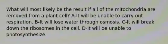 What will most likely be the result if all of the mitochondria are removed from a plant cell? A-It will be unable to carry out respiration. B-It will lose water through osmosis. C-It will break down the ribosomes in the cell. D-It will be unable to photosynthesize.