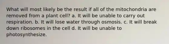 What will most likely be the result if all of the mitochondria are removed from a plant cell? a. It will be unable to carry out respiration. b. It will lose water through osmosis. c. It will break down ribosomes in the cell d. It will be unable to photosynthesize.