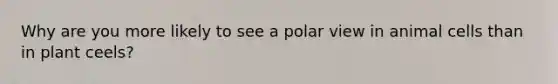 Why are you more likely to see a polar view in animal cells than in plant ceels?