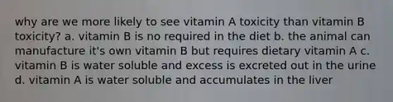 why are we more likely to see vitamin A toxicity than vitamin B toxicity? a. vitamin B is no required in the diet b. the animal can manufacture it's own vitamin B but requires dietary vitamin A c. vitamin B is water soluble and excess is excreted out in the urine d. vitamin A is water soluble and accumulates in the liver