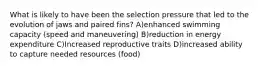 What is likely to have been the selection pressure that led to the evolution of jaws and paired fins? A)enhanced swimming capacity (speed and maneuvering) B)reduction in energy expenditure C)Increased reproductive traits D)increased ability to capture needed resources (food)
