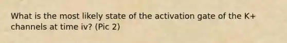 What is the most likely state of the activation gate of the K+ channels at time iv? (Pic 2)