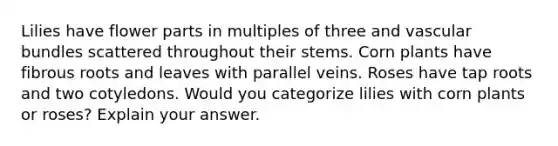 Lilies have flower parts in multiples of three and vascular bundles scattered throughout their stems. Corn plants have fibrous roots and leaves with parallel veins. Roses have tap roots and two cotyledons. Would you categorize lilies with corn plants or roses? Explain your answer.