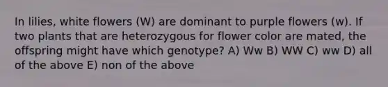 In lilies, white flowers (W) are dominant to purple flowers (w). If two plants that are heterozygous for flower color are mated, the offspring might have which genotype? A) Ww B) WW C) ww D) all of the above E) non of the above