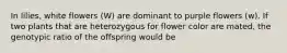 In lilies, white flowers (W) are dominant to purple flowers (w). If two plants that are heterozygous for flower color are mated, the genotypic ratio of the offspring would be