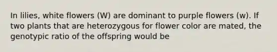 In lilies, white flowers (W) are dominant to purple flowers (w). If two plants that are heterozygous for flower color are mated, the genotypic ratio of the offspring would be