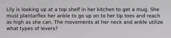 Lily is looking up at a top shelf in her kitchen to get a mug. She must plantarflex her ankle to go up on to her tip toes and reach as high as she can. The movements at her neck and ankle utilize what types of levers?