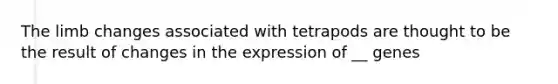 The limb changes associated with tetrapods are thought to be the result of changes in the expression of __ genes