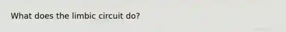 What does the limbic circuit do?