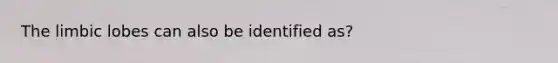 The limbic lobes can also be identified as?