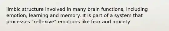 limbic structure involved in many brain functions, including emotion, learning and memory. It is part of a system that processes "reflexive" emotions like fear and anxiety