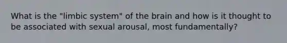 What is the "limbic system" of the brain and how is it thought to be associated with sexual arousal, most fundamentally?