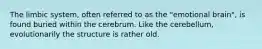 The limbic system, often referred to as the "emotional brain", is found buried within the cerebrum. Like the cerebellum, evolutionarily the structure is rather old.