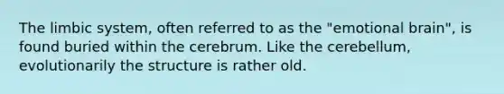 The limbic system, often referred to as the "emotional brain", is found buried within the cerebrum. Like the cerebellum, evolutionarily the structure is rather old.