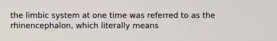 the limbic system at one time was referred to as the rhinencephalon, which literally means