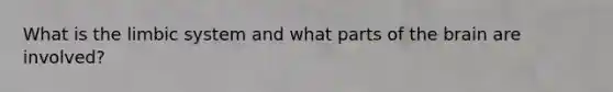 What is the limbic system and what parts of the brain are involved?
