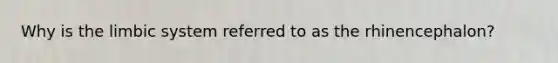 Why is the limbic system referred to as the rhinencephalon?