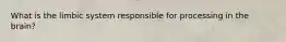 What is the limbic system responsible for processing in the brain?