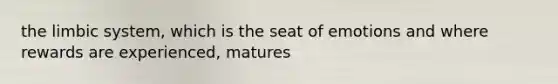 the limbic system, which is the seat of emotions and where rewards are experienced, matures