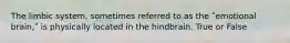 The limbic system, sometimes referred to as the ʺemotional brain,ʺ is physically located in the hindbrain. True or False