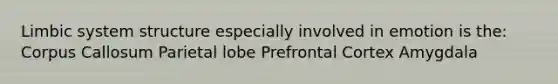 Limbic system structure especially involved in emotion is the: Corpus Callosum Parietal lobe Prefrontal Cortex Amygdala