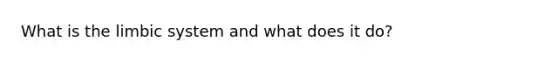 What is the limbic system and what does it do?