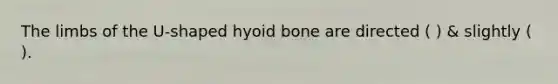 The limbs of the U-shaped hyoid bone are directed ( ) & slightly ( ).