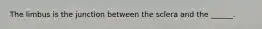 The limbus is the junction between the sclera and the ______.