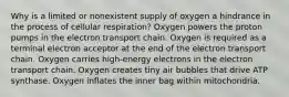 Why is a limited or nonexistent supply of oxygen a hindrance in the process of cellular respiration? Oxygen powers the proton pumps in the electron transport chain. Oxygen is required as a terminal electron acceptor at the end of the electron transport chain. Oxygen carries high-energy electrons in the electron transport chain. Oxygen creates tiny air bubbles that drive ATP synthase. Oxygen inflates the inner bag within mitochondria.