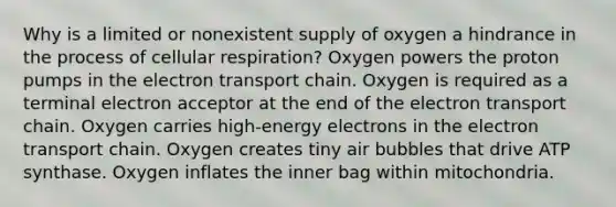 Why is a limited or nonexistent supply of oxygen a hindrance in the process of cellular respiration? Oxygen powers the proton pumps in the electron transport chain. Oxygen is required as a terminal electron acceptor at the end of the electron transport chain. Oxygen carries high-energy electrons in the electron transport chain. Oxygen creates tiny air bubbles that drive ATP synthase. Oxygen inflates the inner bag within mitochondria.