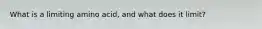 What is a limiting amino acid, and what does it limit?