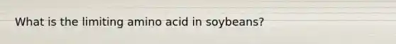 What is the limiting amino acid in soybeans?