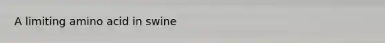 A limiting amino acid in swine