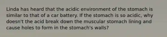 Linda has heard that the acidic environment of the stomach is similar to that of a car battery. If the stomach is so acidic, why doesn't the acid break down the muscular stomach lining and cause holes to form in the stomach's walls?