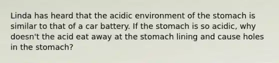 Linda has heard that the acidic environment of the stomach is similar to that of a car battery. If the stomach is so acidic, why doesn't the acid eat away at the stomach lining and cause holes in the stomach?