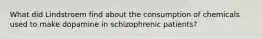 What did Lindstroem find about the consumption of chemicals used to make dopamine in schizophrenic patients?